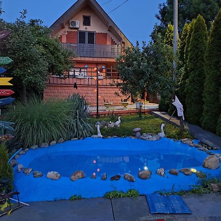 Sweet Dreams Apartman Zaječar Kültér fotó