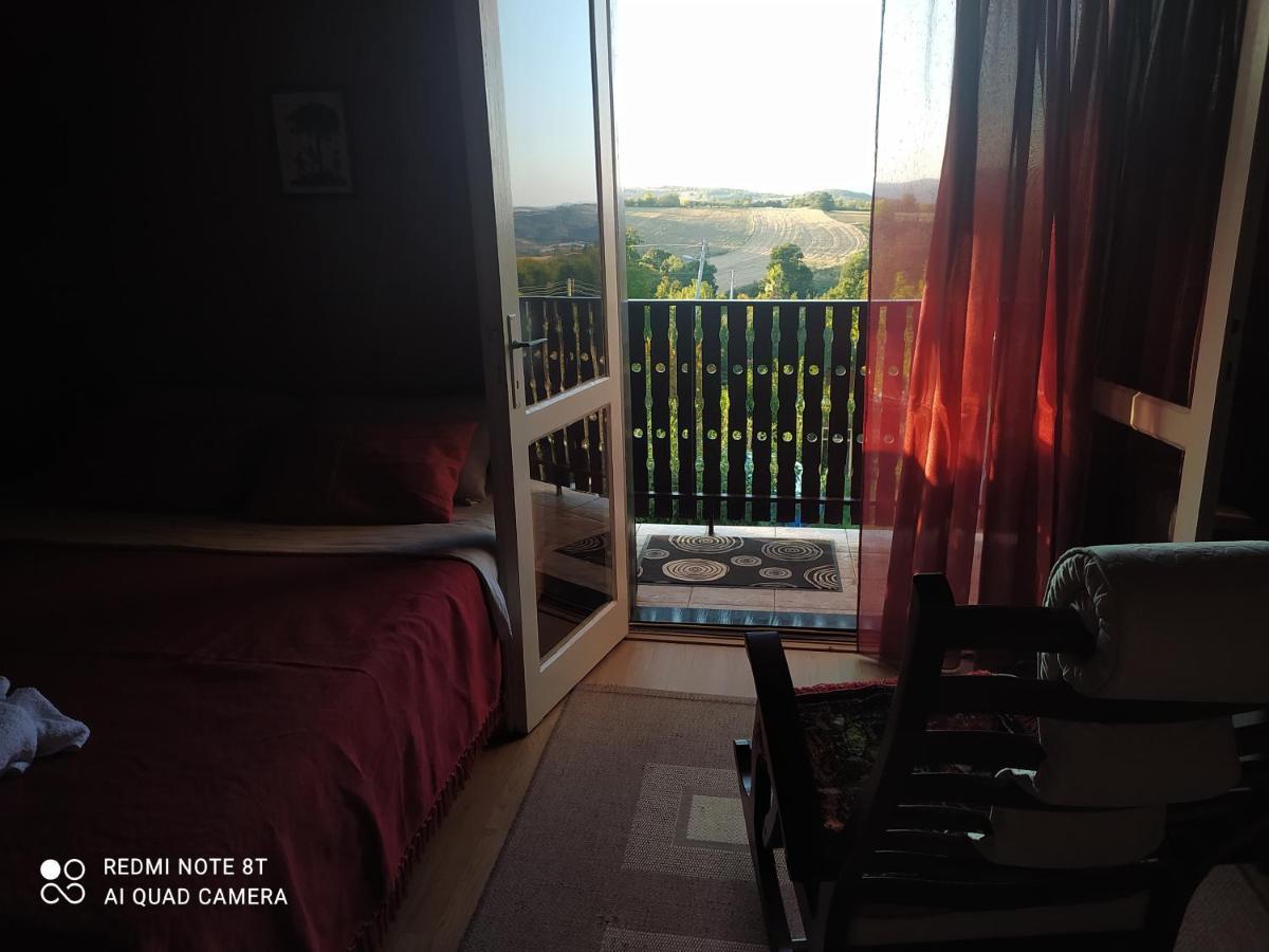 Sweet Dreams Apartman Zaječar Kültér fotó