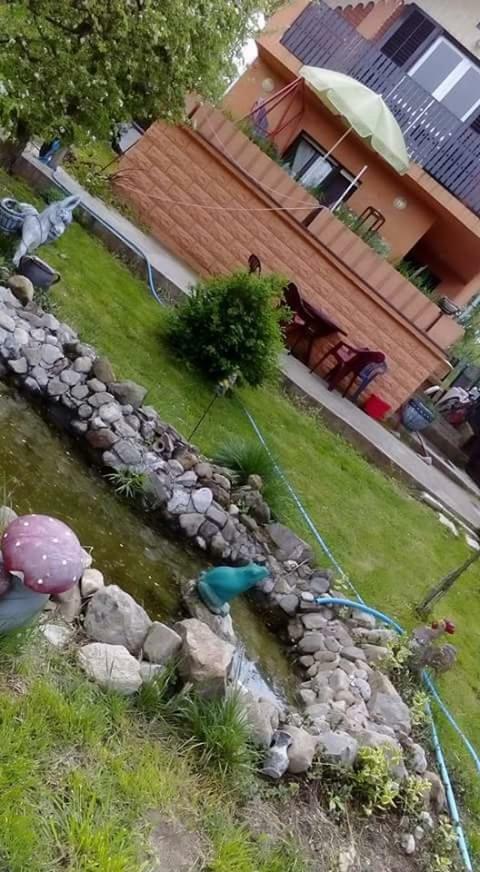 Sweet Dreams Apartman Zaječar Kültér fotó