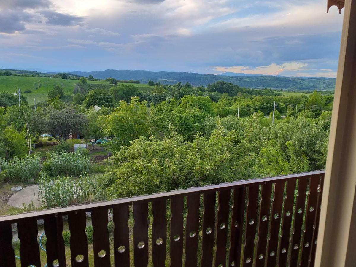 Sweet Dreams Apartman Zaječar Kültér fotó